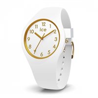 Watch Ice Watch Woman in Steel 014759 - 014759